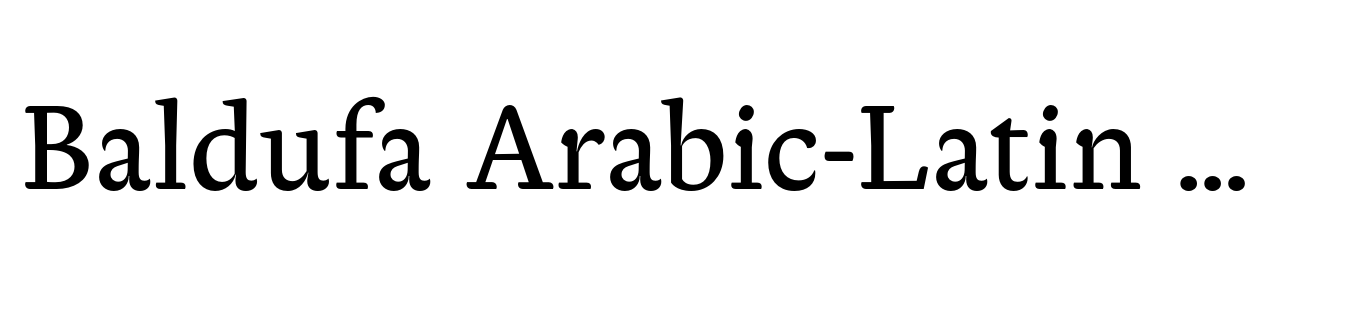 Baldufa Arabic-Latin Regular